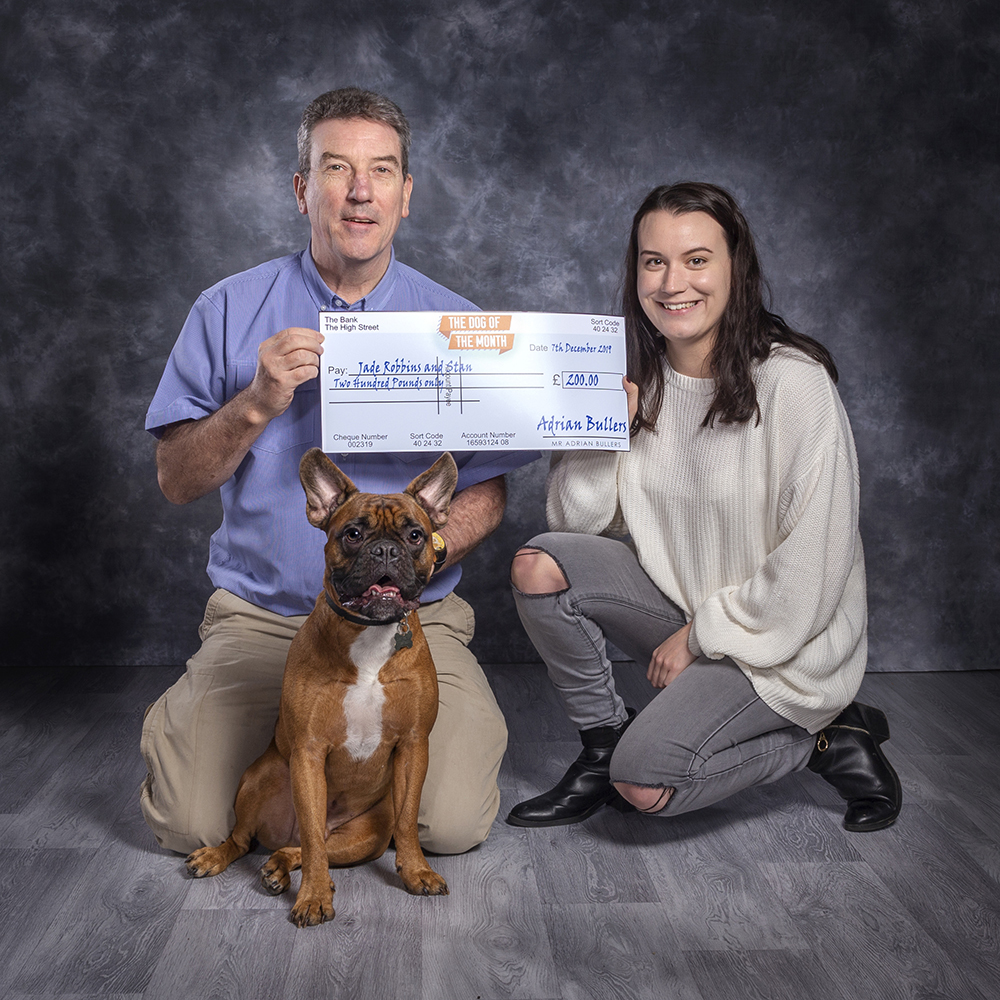 Award winning Pet photographer in Bedfordshire | Adrian Bullers k-9 photography Bedford