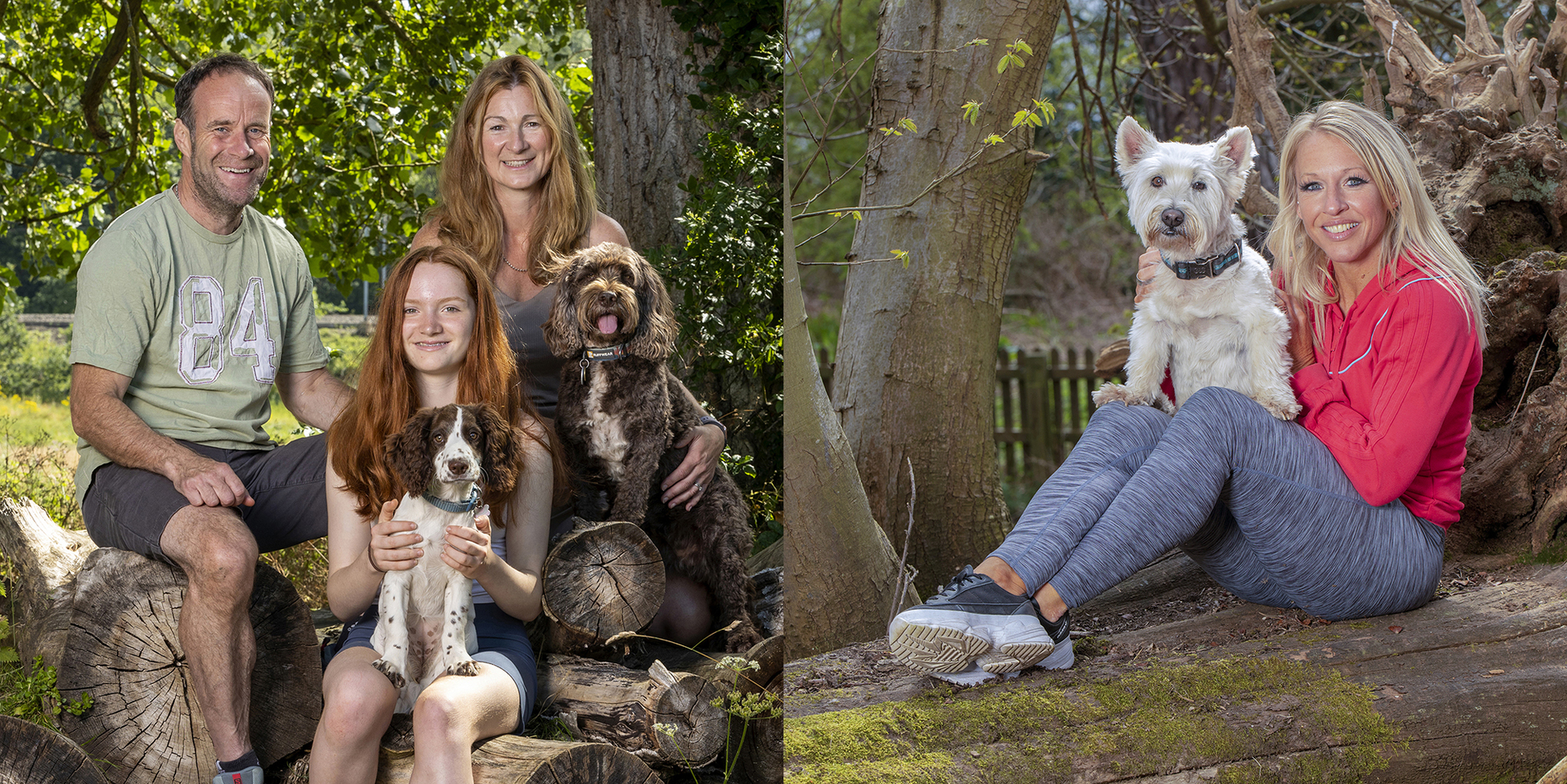 Dog photography in London and Hertfordshire