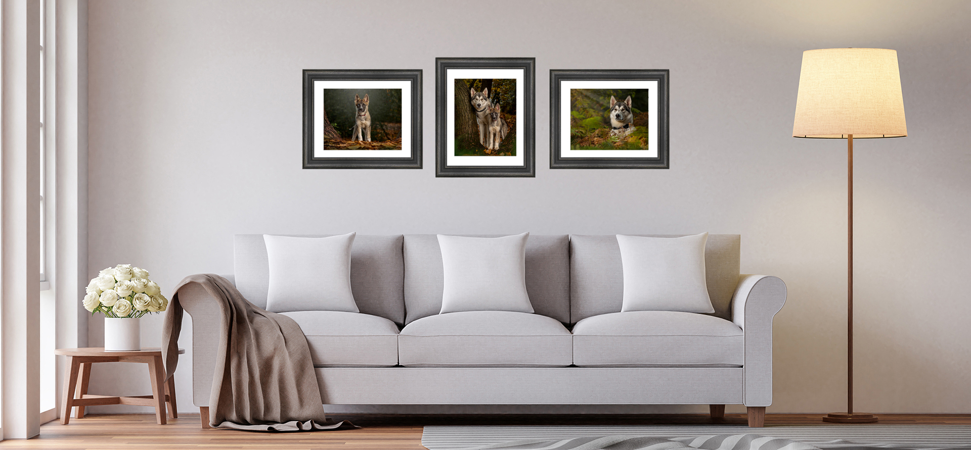 dog photography as Photographic Art to display in your home