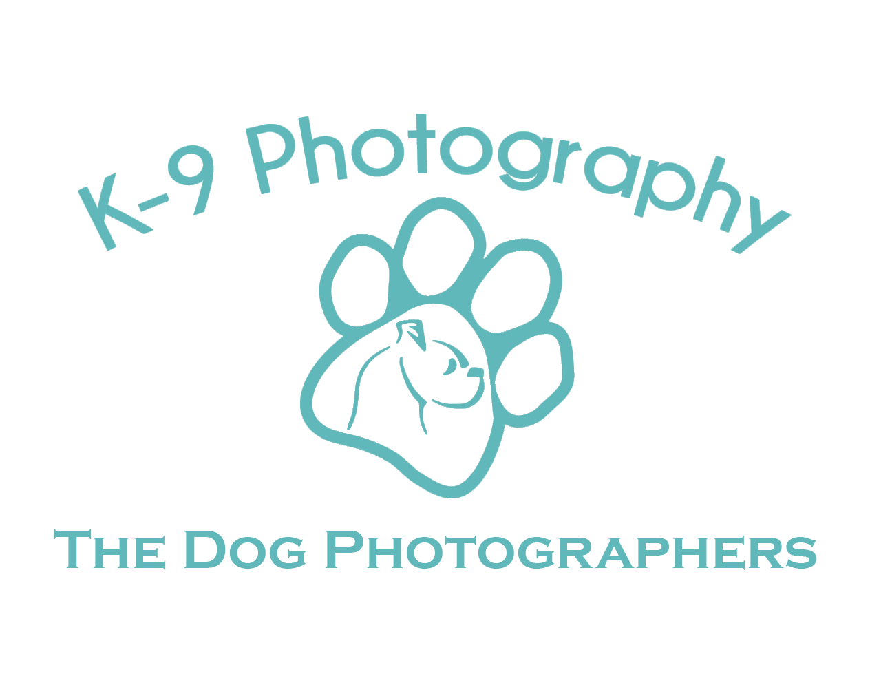 Dog photographer London Herfordshire Bedfordshire and the UKAdrian Bullers